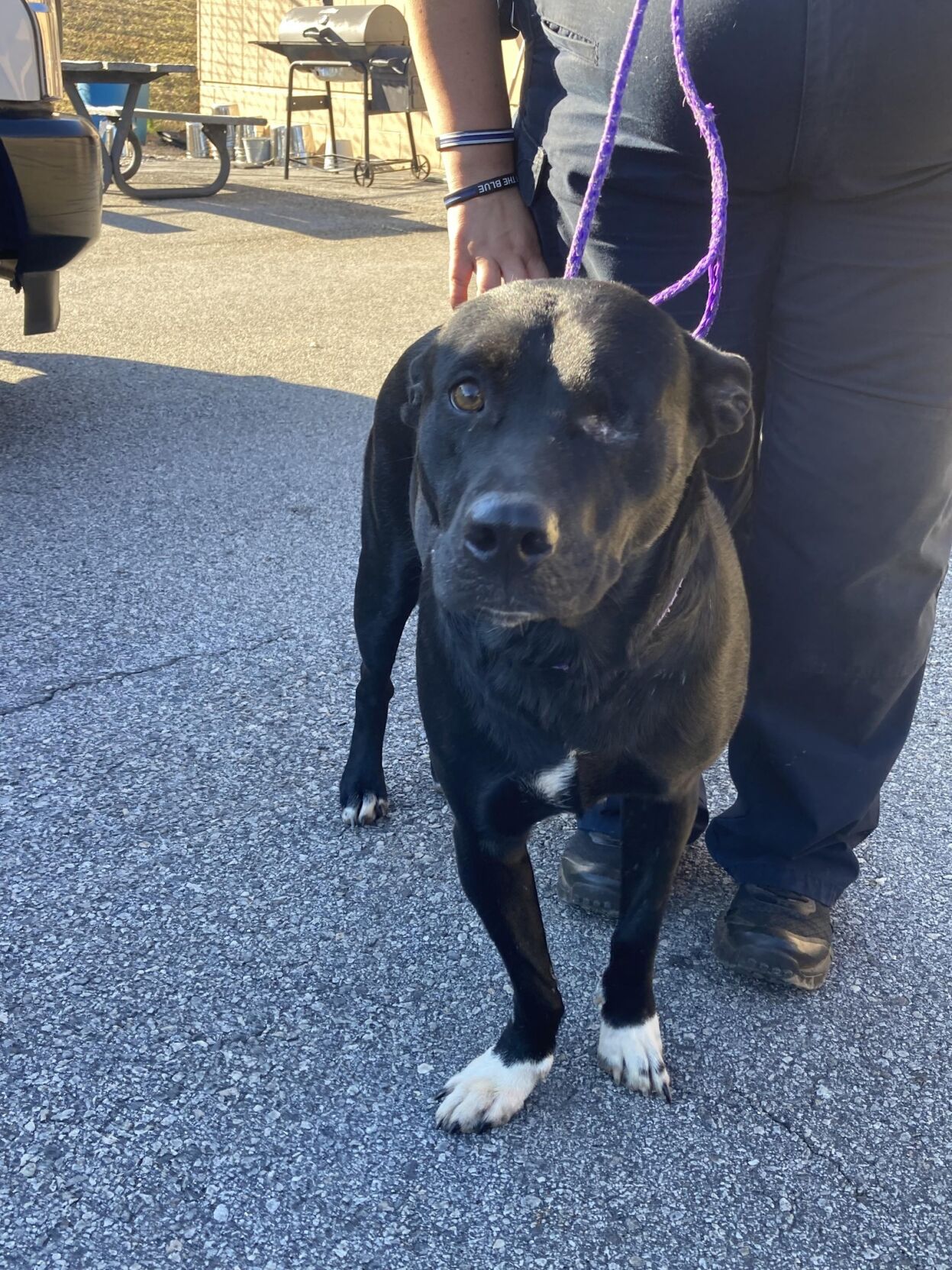 ANGEL - ID#A016918